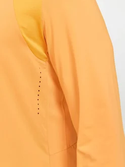 Craft Sportswear T-Shirts & Tröjor|Träning^ADV HiT LS Tee M Desert