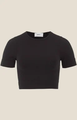 Craft Sportswear Träning^Collective Seamless Cropped SS Top W Black