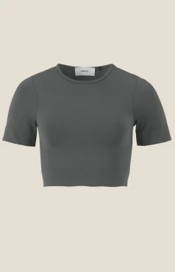 Craft Sportswear Träning^Collective Seamless Cropped SS Top W Lava