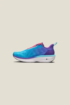 Craft Sportswear Vägskor|Promenadskor^Endurance 2 M Club Cobolt/True Purple