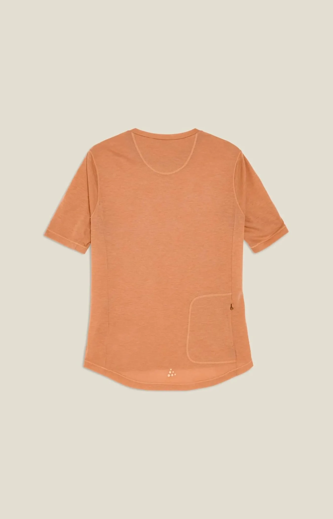 Craft Sportswear T-Shirts & Tröjor^Everyday Wool SS Tee W Syrup/Melange